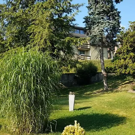 Проживання в сім'ї Ruopigen Lucerne
